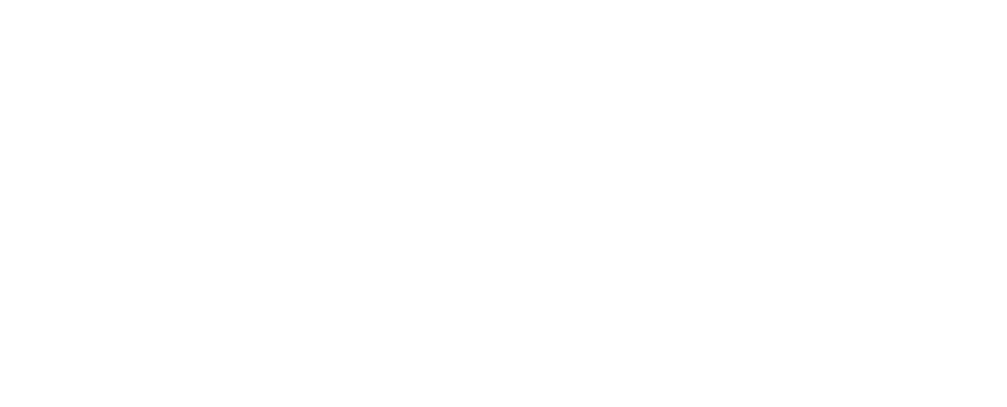 The logo in white, on NK Blue.